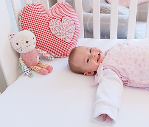 Snuggle Sleeves Sleeping Bags (6-12 Months, Blue)